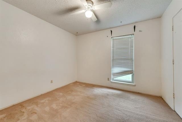 3702 Lofland Lane - Photo 14