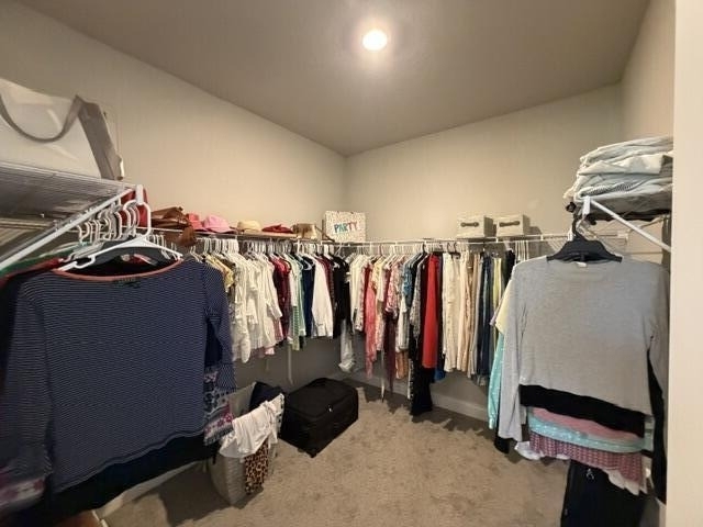 9044 Dahlia Circle - Photo 9