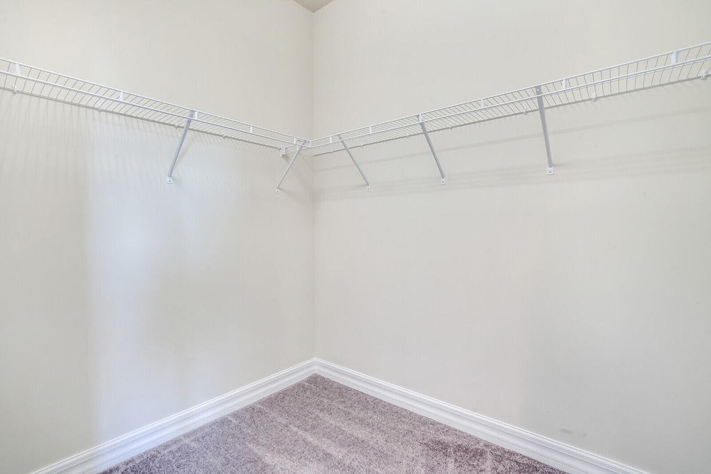 8656 Escue Street - Photo 20