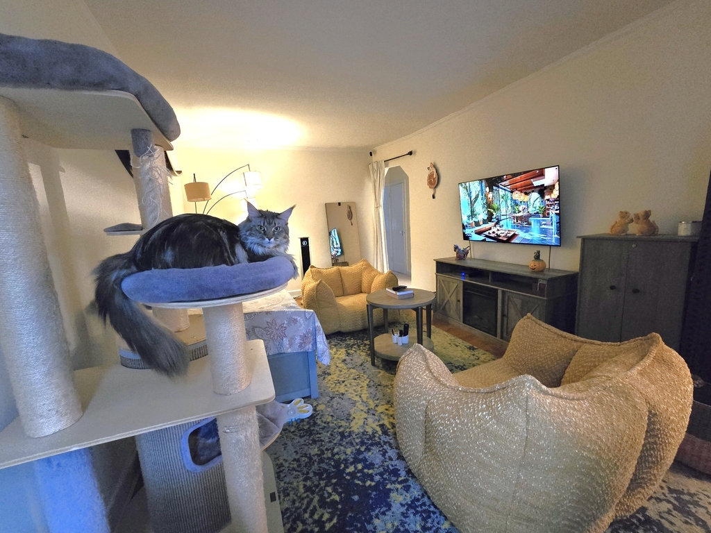 25-60 49th Street - Photo 8