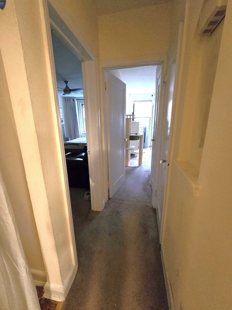 25-60 49th Street - Photo 17