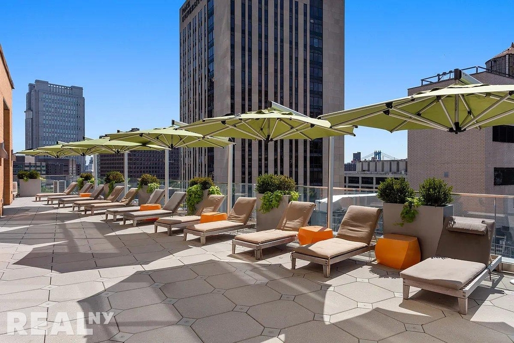 Spruce Street - Photo 14