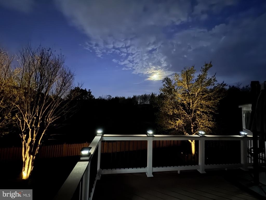 15043 Gaines Mill Circle - Photo 52