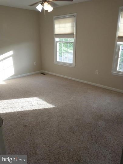 8219 Crackling Fire Drive - Photo 12