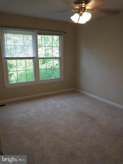 8219 Crackling Fire Drive - Photo 8
