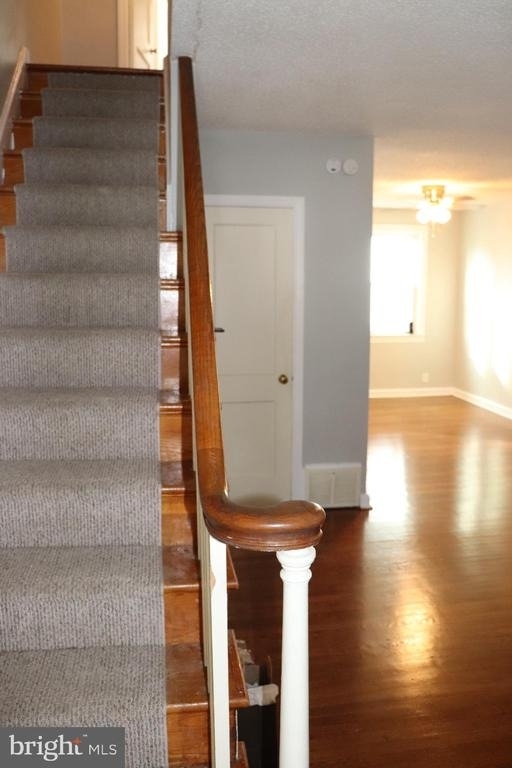 317 W Salaignac Street - Photo 9