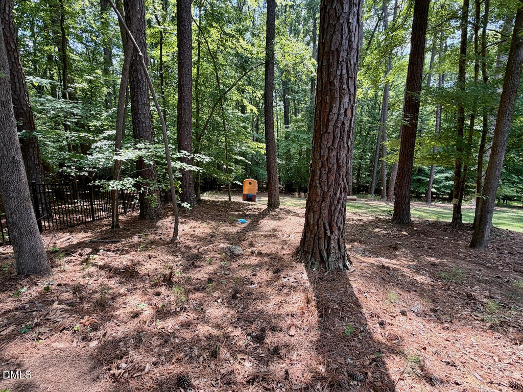 1213 Fall Line Court - Photo 4