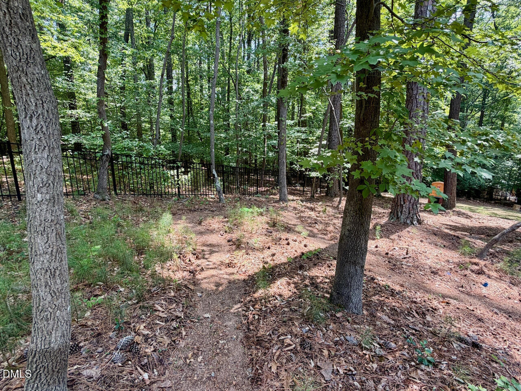 1213 Fall Line Court - Photo 48