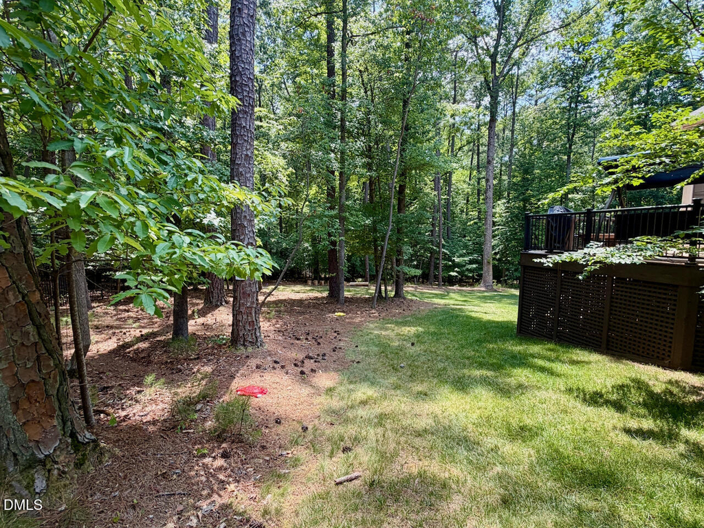 1213 Fall Line Court - Photo 47