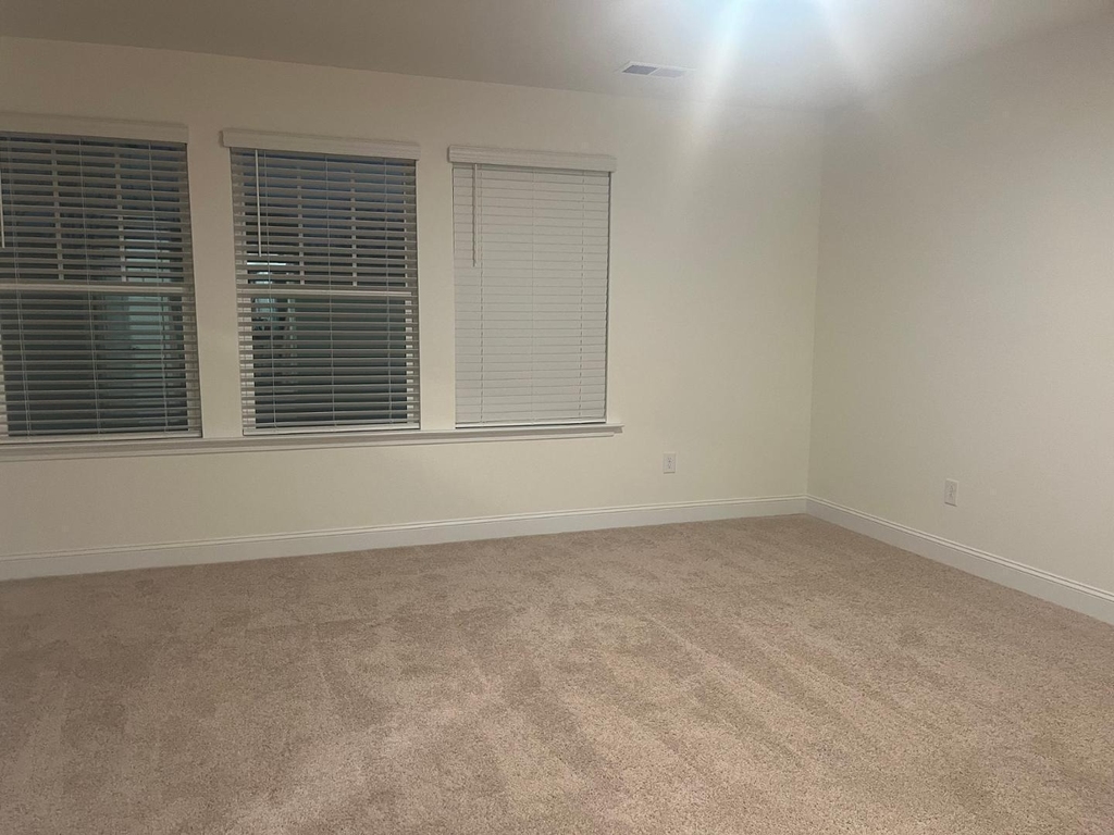 28 Hyacinth Lane - Photo 33