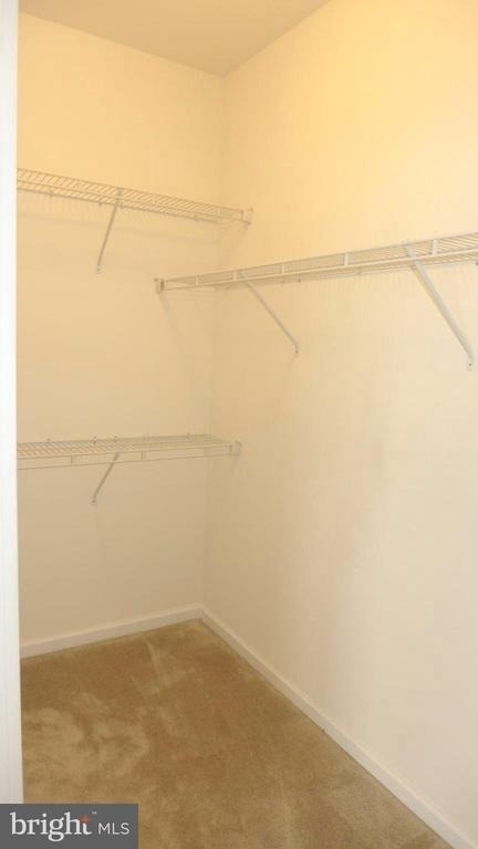 7218 Sugar Magnolia Lane - Photo 19