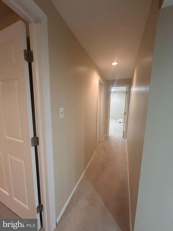 10217 Savoy Court - Photo 4