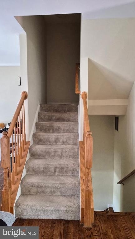 3381 Sonia Trail - Photo 20