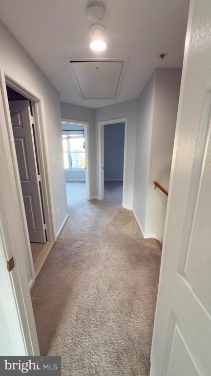 3381 Sonia Trail - Photo 34