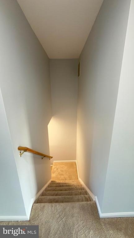 3381 Sonia Trail - Photo 23
