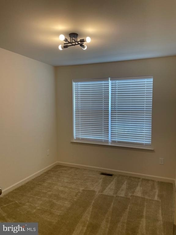 1434 Carrick Court - Photo 19