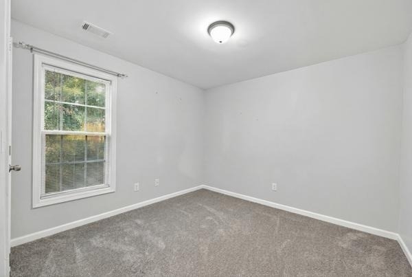 4216 Preserve Trail - Photo 22