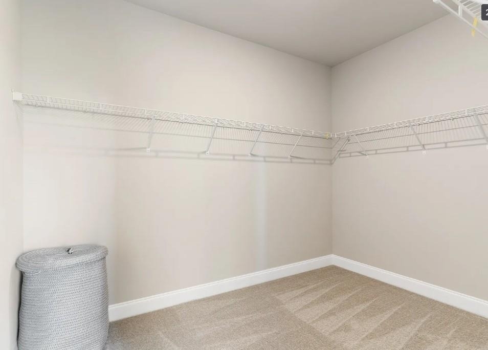 1905 Manor Pointe Drive - Photo 23