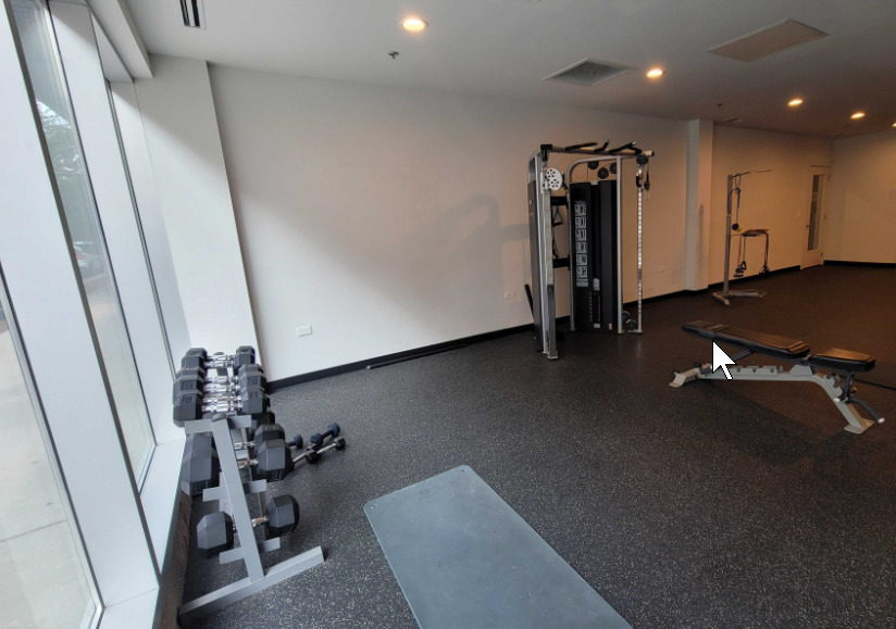 853 N Larrabee Street - Photo 14
