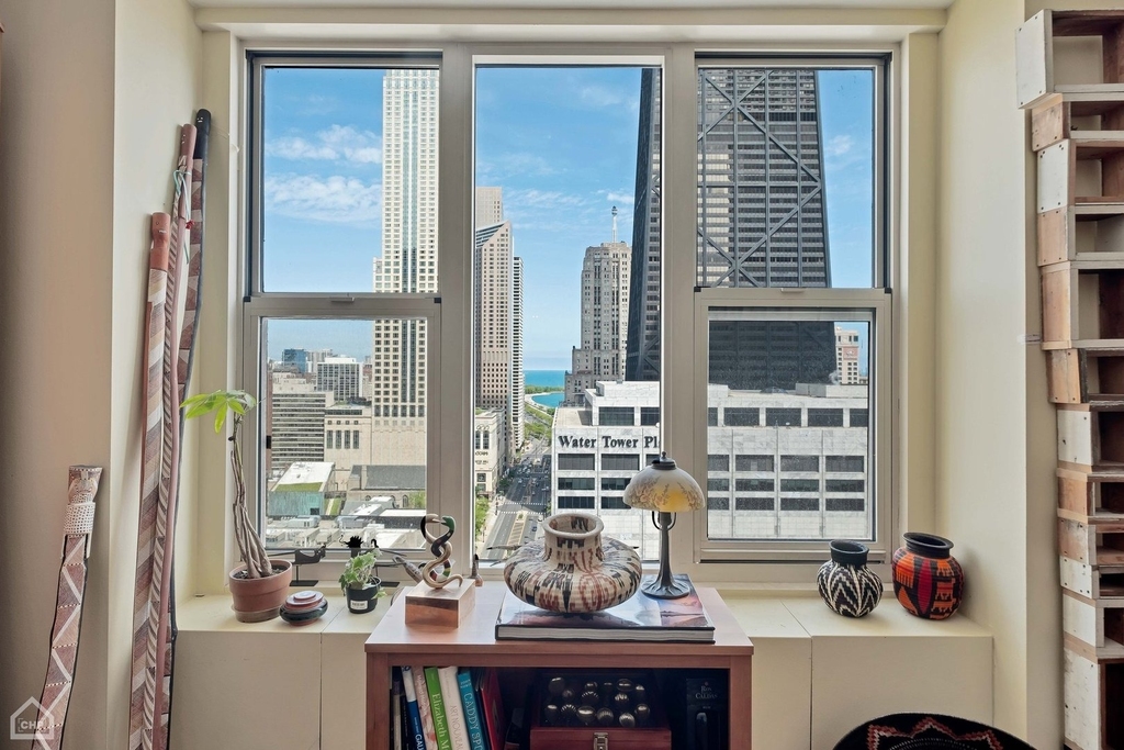 777 N Michigan Avenue - Photo 11