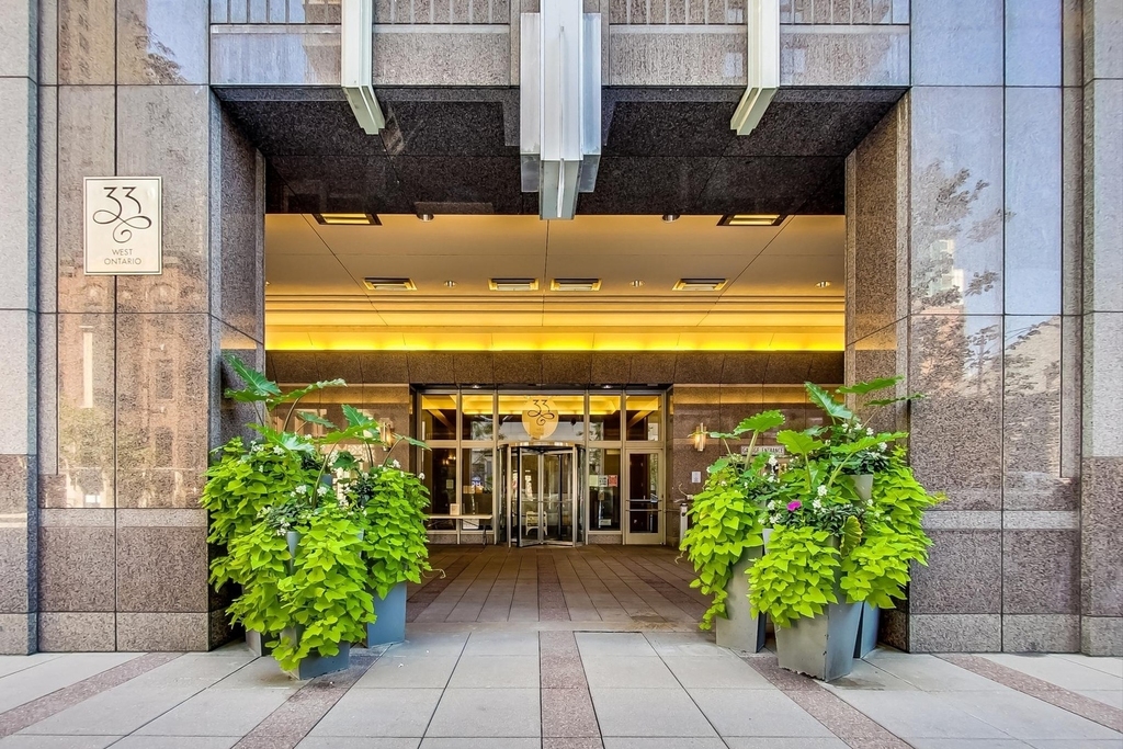 33 W Ontario Street - Photo 1