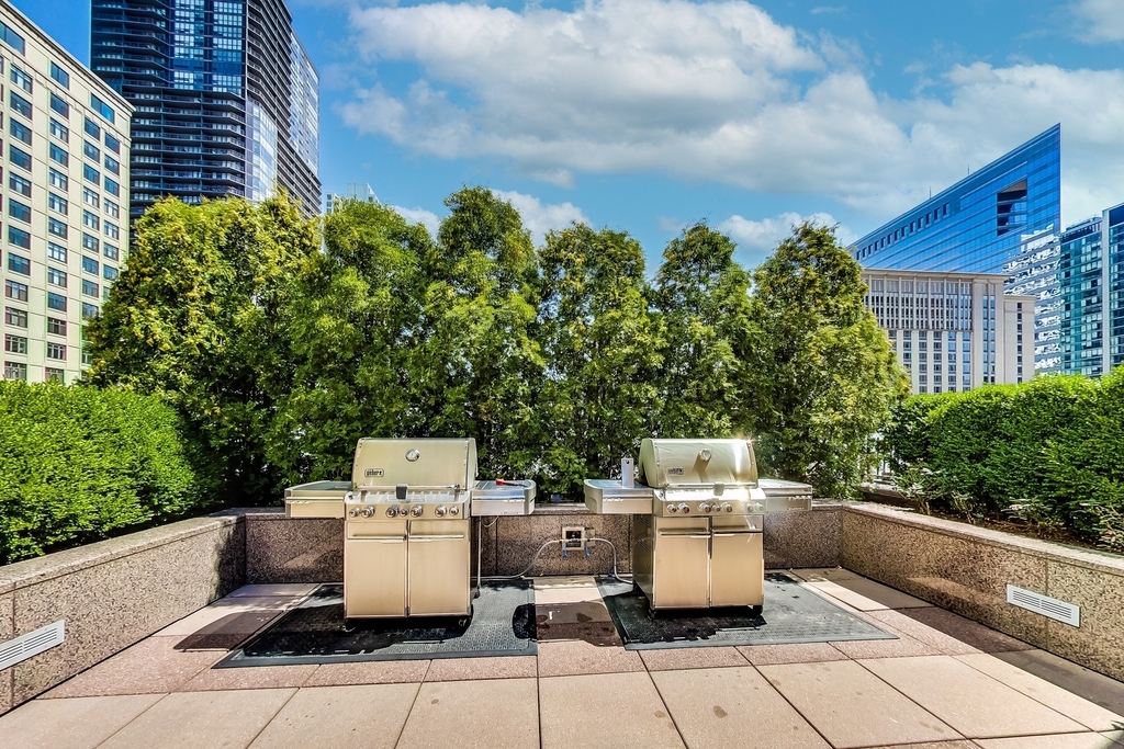 33 W Ontario Street - Photo 34