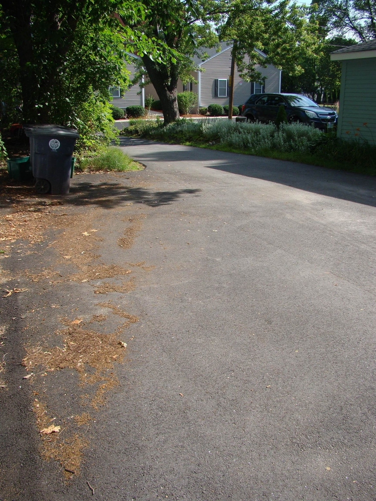 33 Norton - Photo 29
