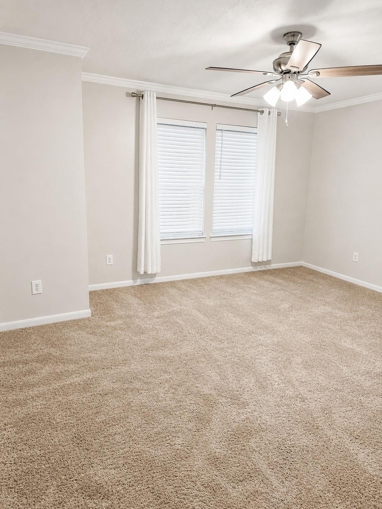 1208 Andrews Street - Photo 6