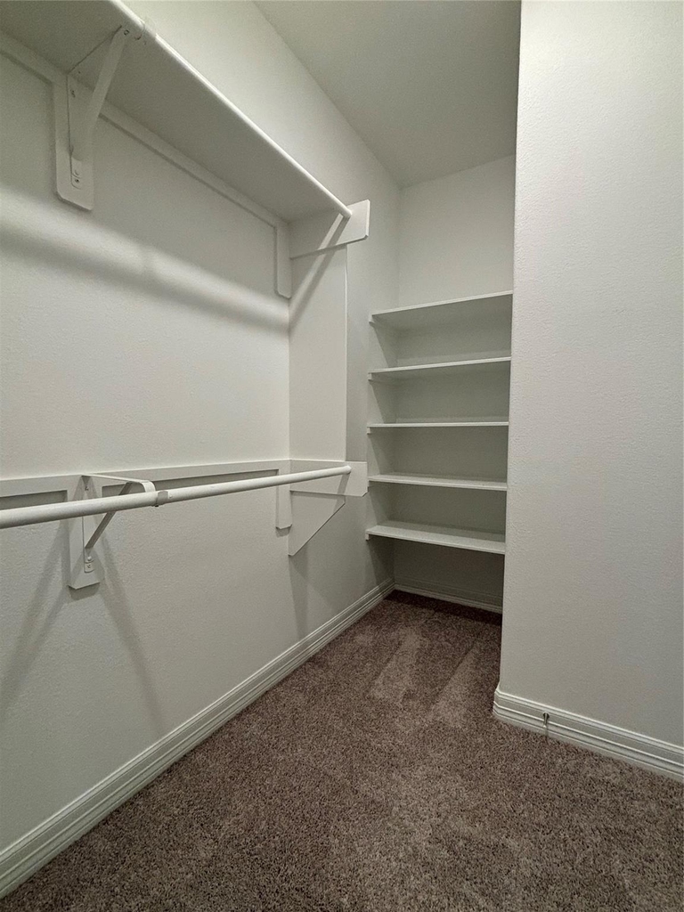 2913 Cliff Ridge Lane - Photo 21