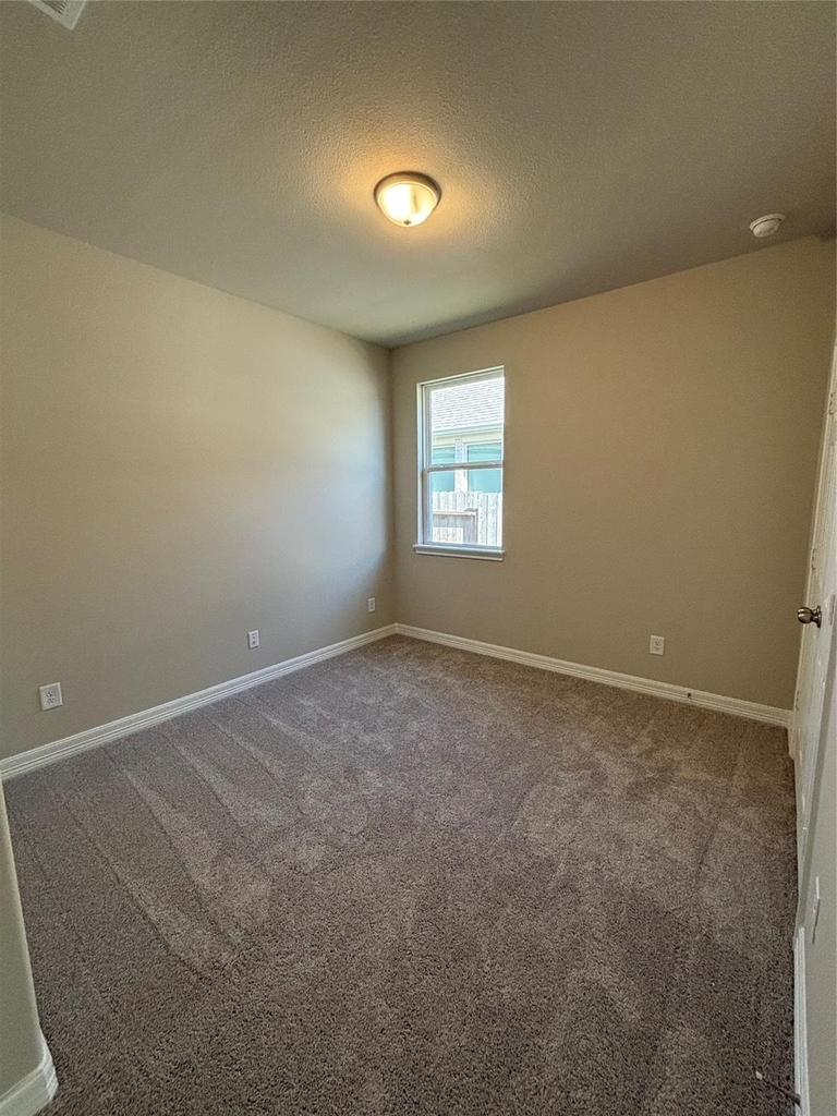 2913 Cliff Ridge Lane - Photo 25