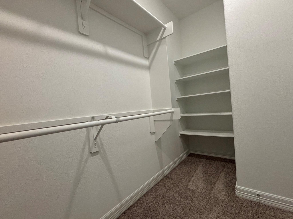 2913 Cliff Ridge Lane - Photo 18