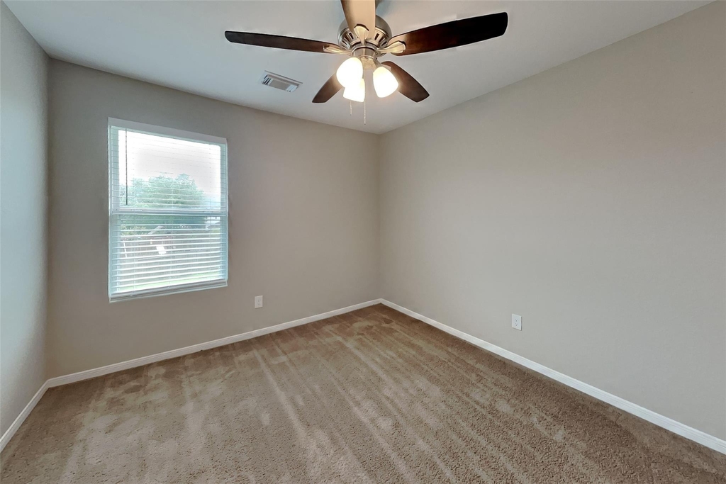 29438 Graceful Path Way - Photo 13