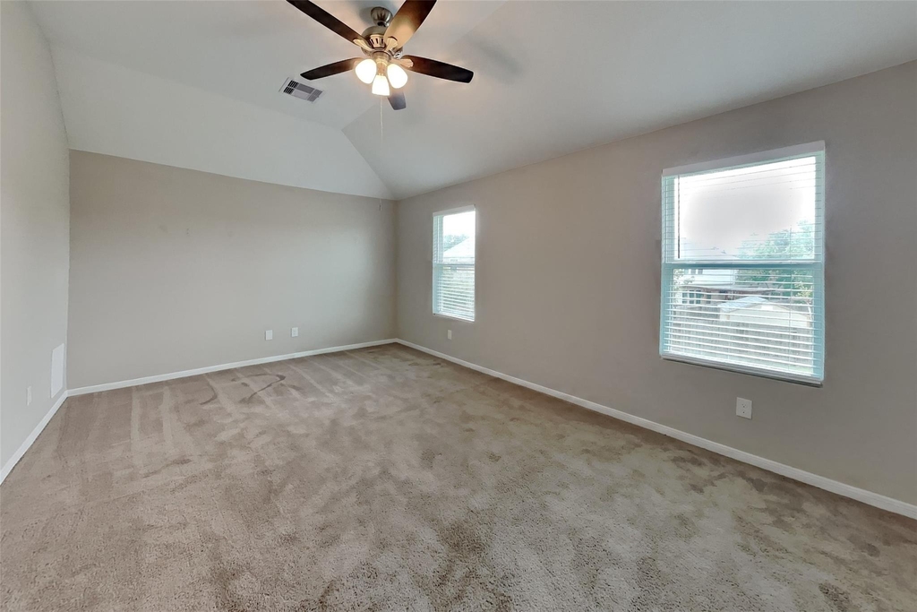29438 Graceful Path Way - Photo 16
