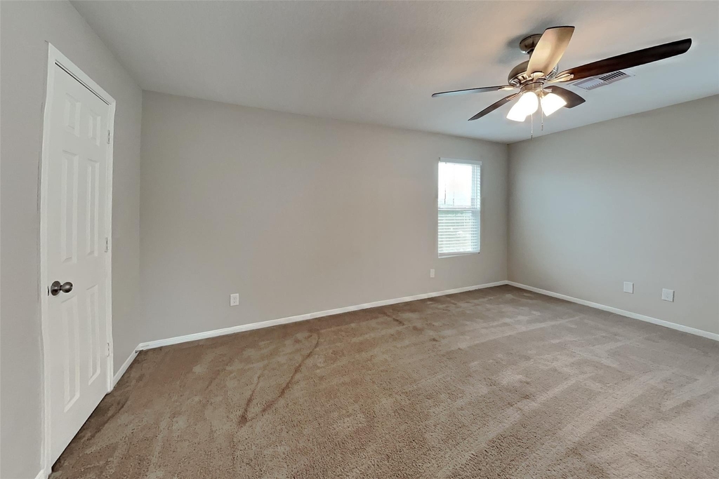 29438 Graceful Path Way - Photo 11
