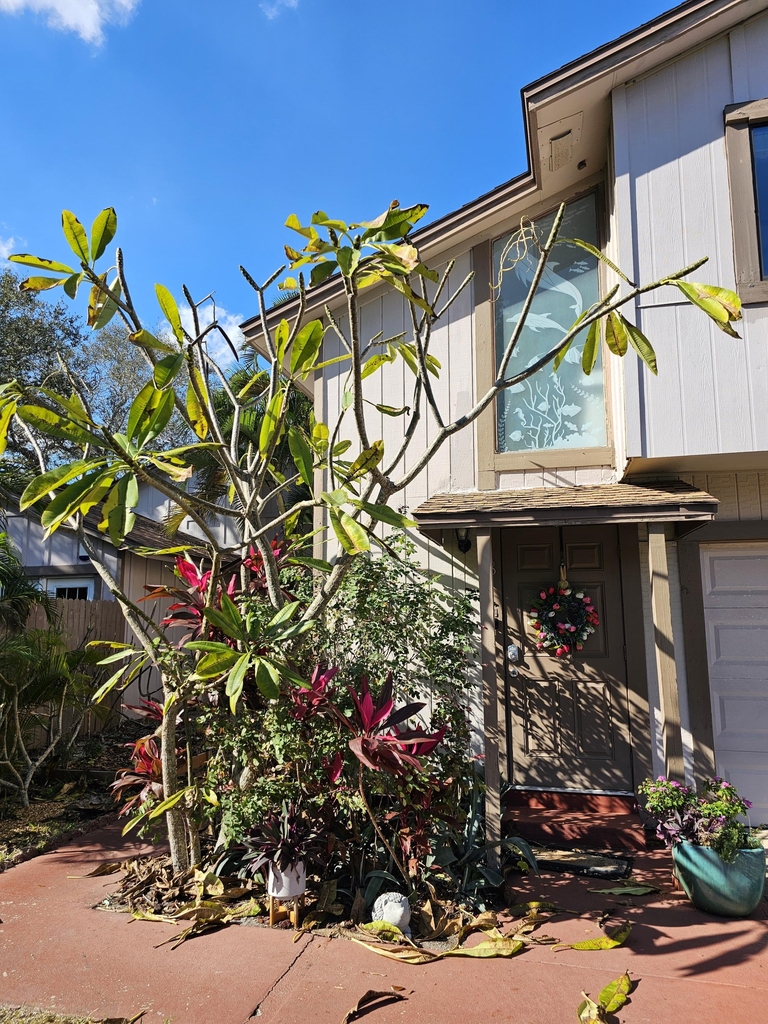 5 Fairway Drive - Photo 0