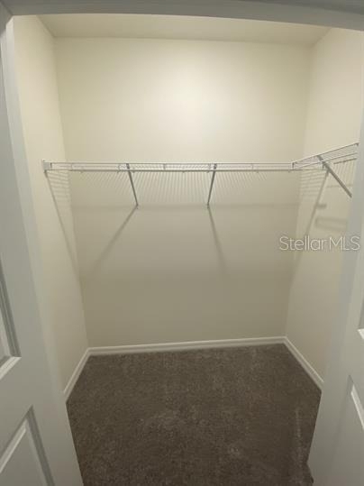 2906 Suncoast Plains Drive - Photo 21