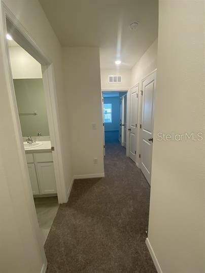 2906 Suncoast Plains Drive - Photo 20