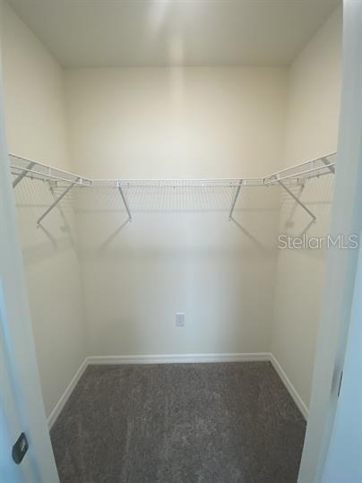 2906 Suncoast Plains Drive - Photo 13