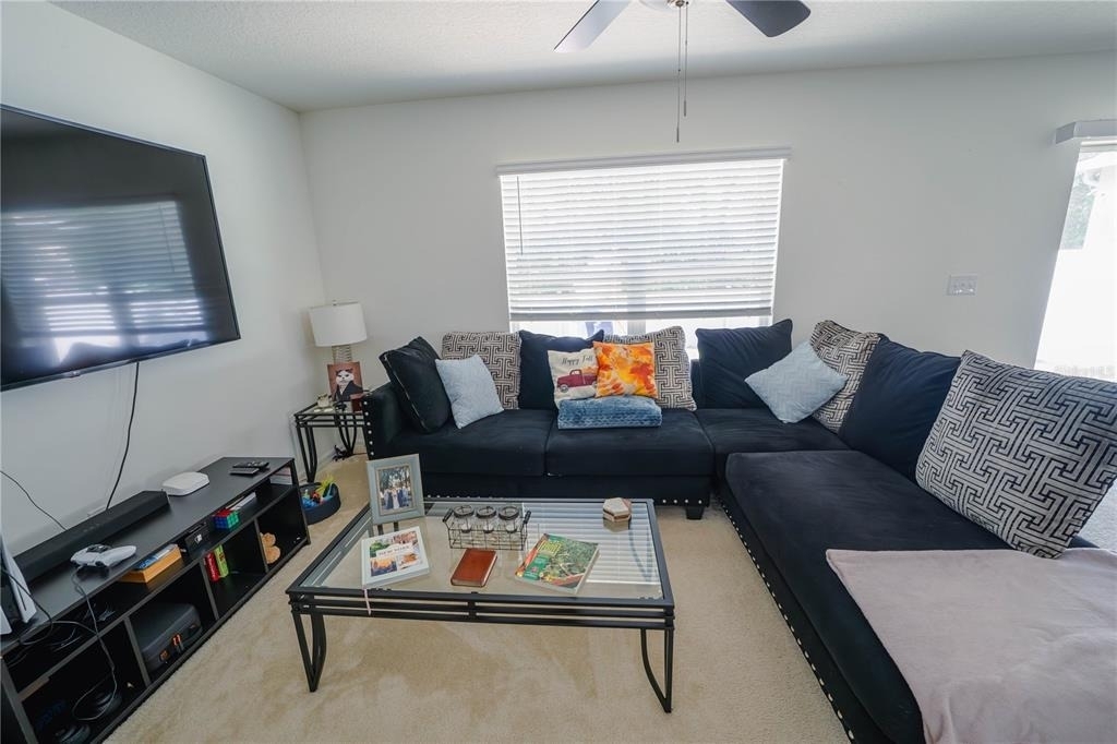 10561 Laguna Plains Drive - Photo 8