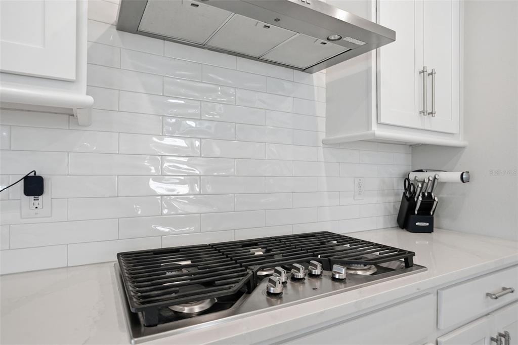 4547 San Martino Drive - Photo 5