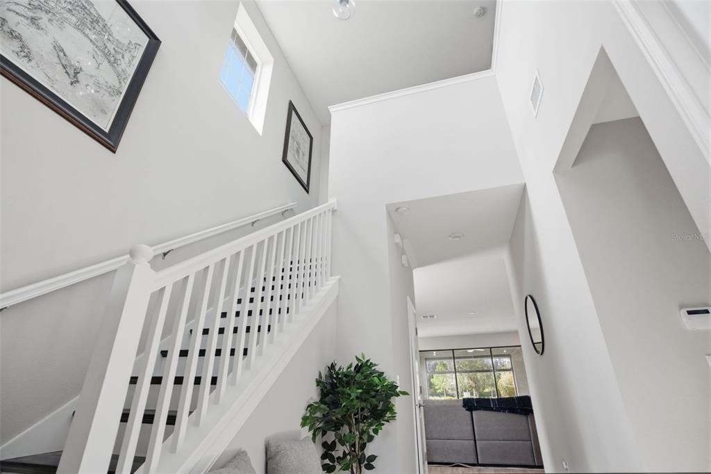4547 San Martino Drive - Photo 11