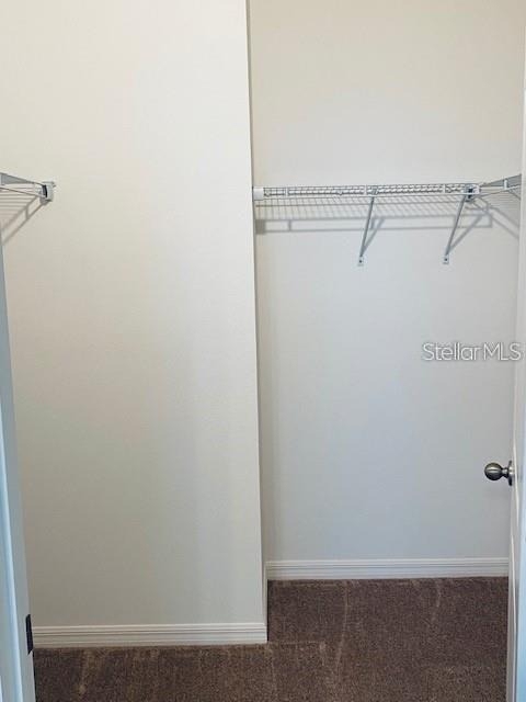 4916 Gulf Waters Drive - Photo 16