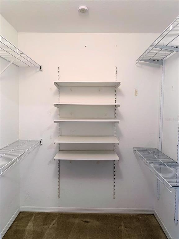 5208 Hampton Beach Place - Photo 11