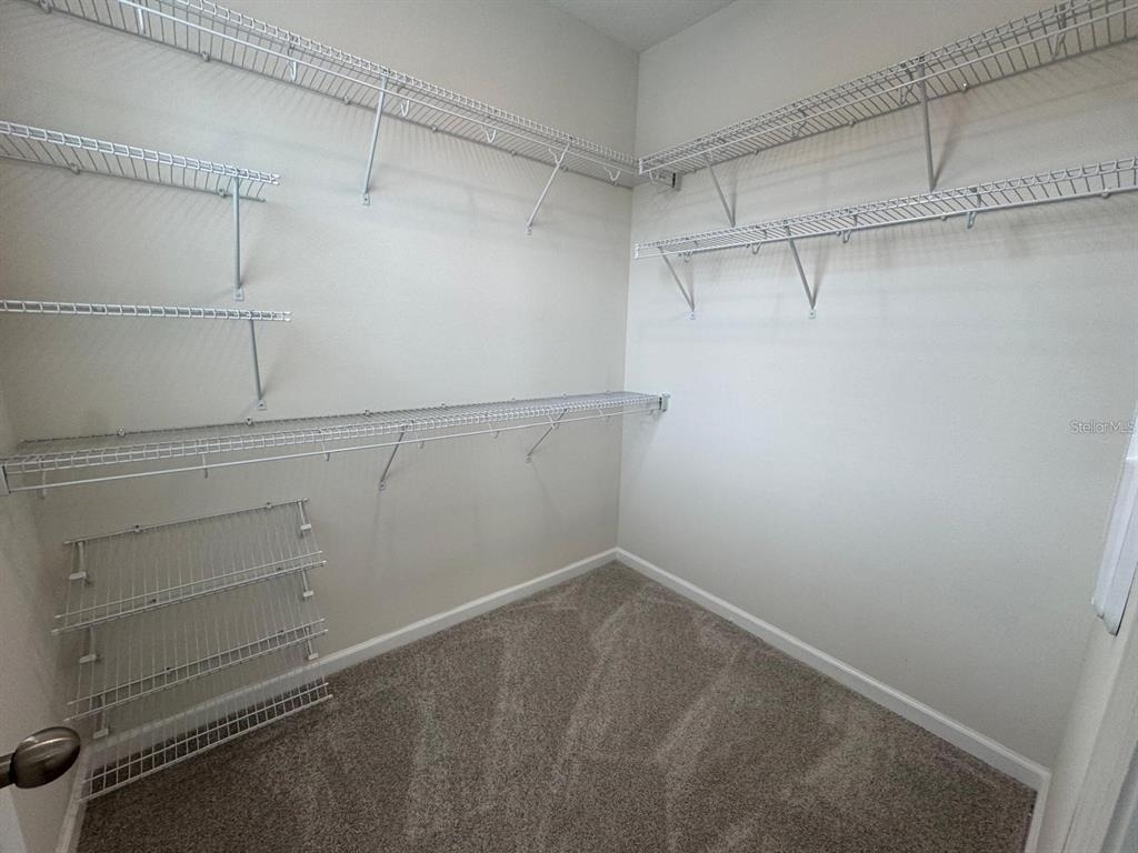 486 Lady Palm Street - Photo 11