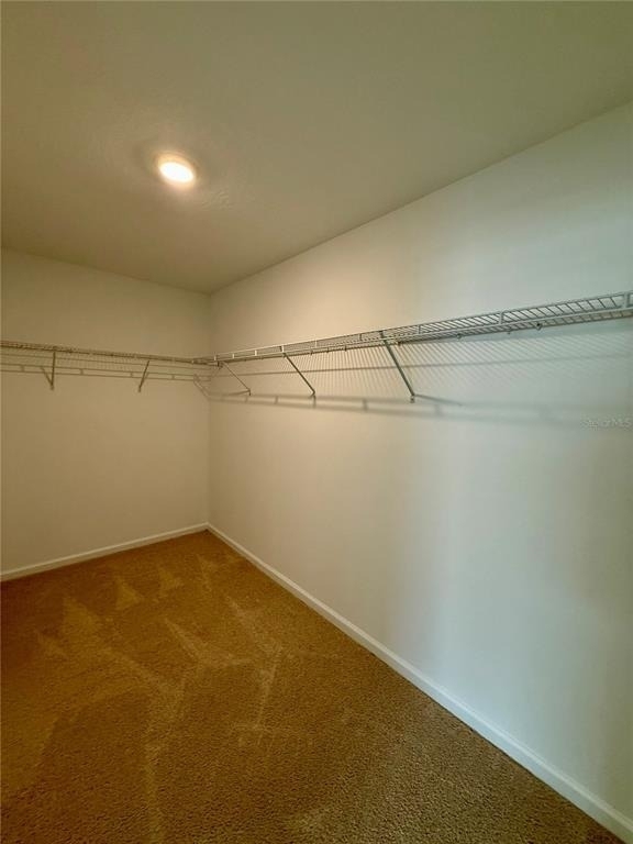 268 Redbud Road - Photo 12
