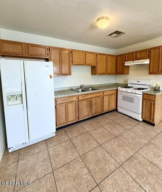 12220 Tierra Alaska Avenue - Photo 3
