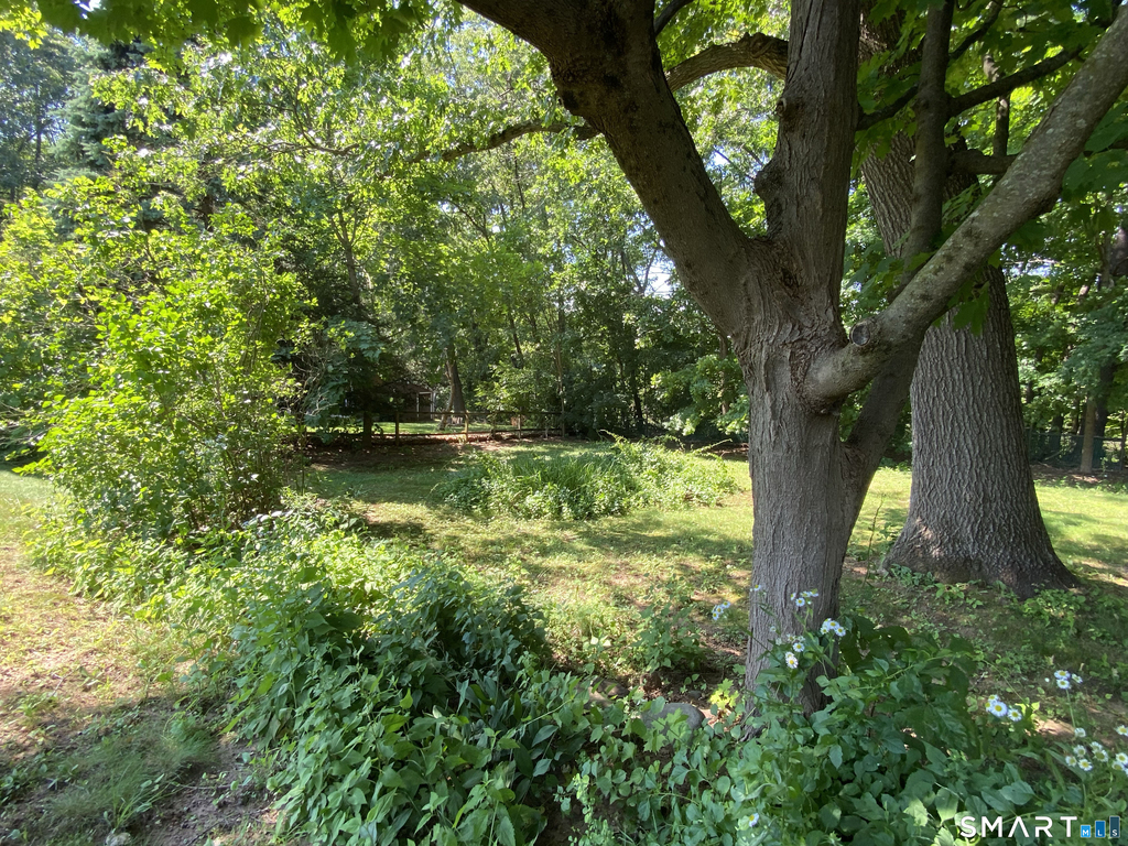 48 Bagley Road - Photo 36