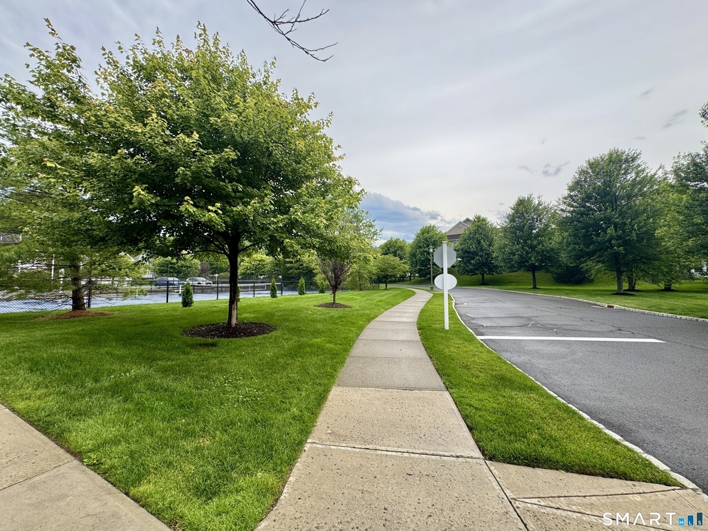 50 Lawrence Avenue - Photo 32
