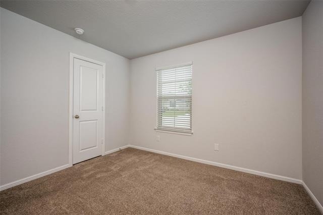4100 Alberta Lane - Photo 8