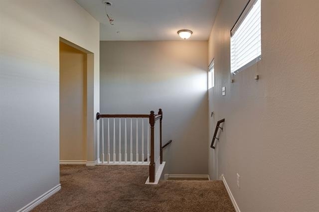 5509 Soledad Drive - Photo 14